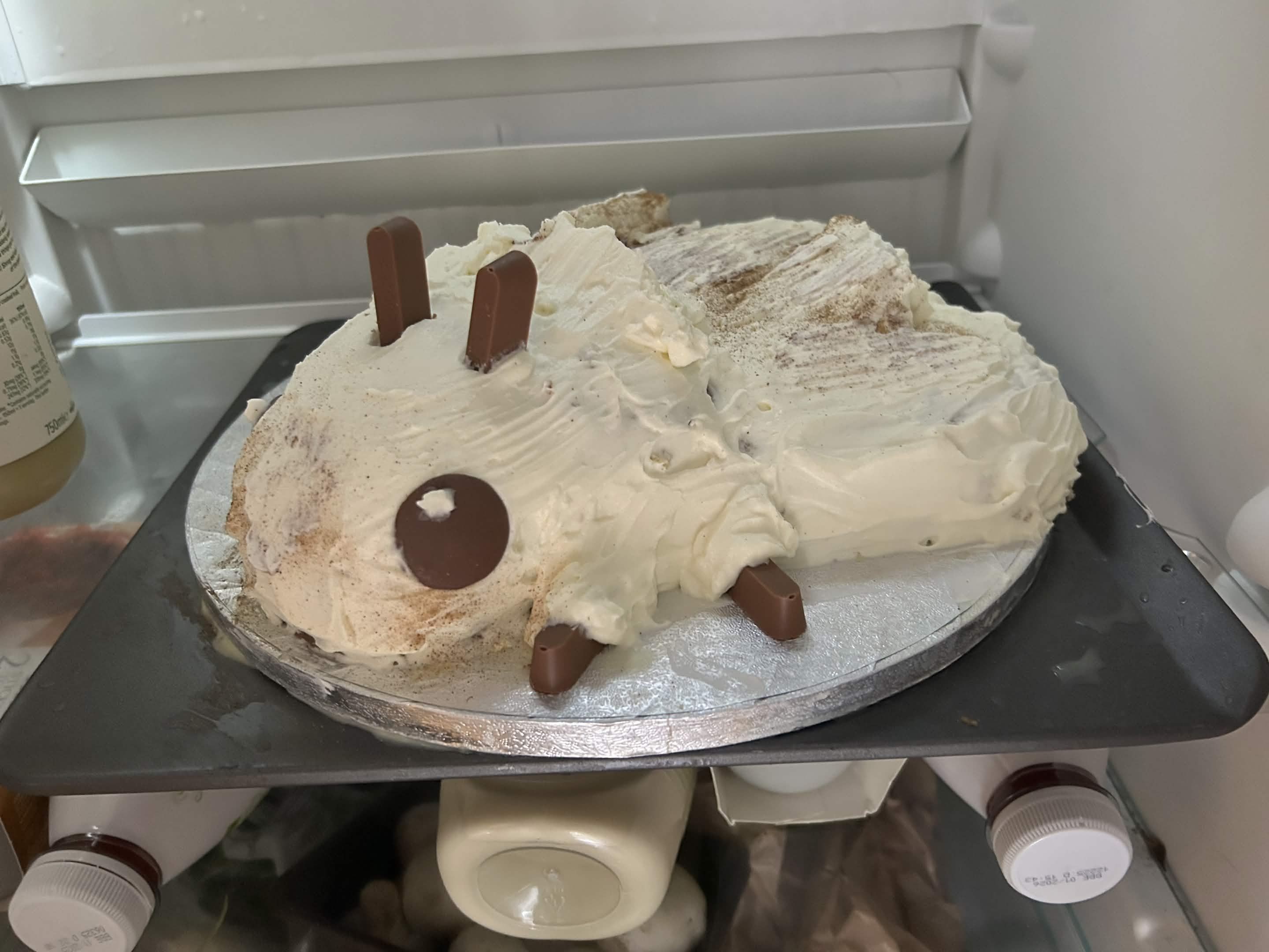 A Cake shaped like Bean the Moth