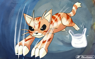 Beans the Pokécat