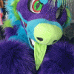Profile picture of Little Loud Birb