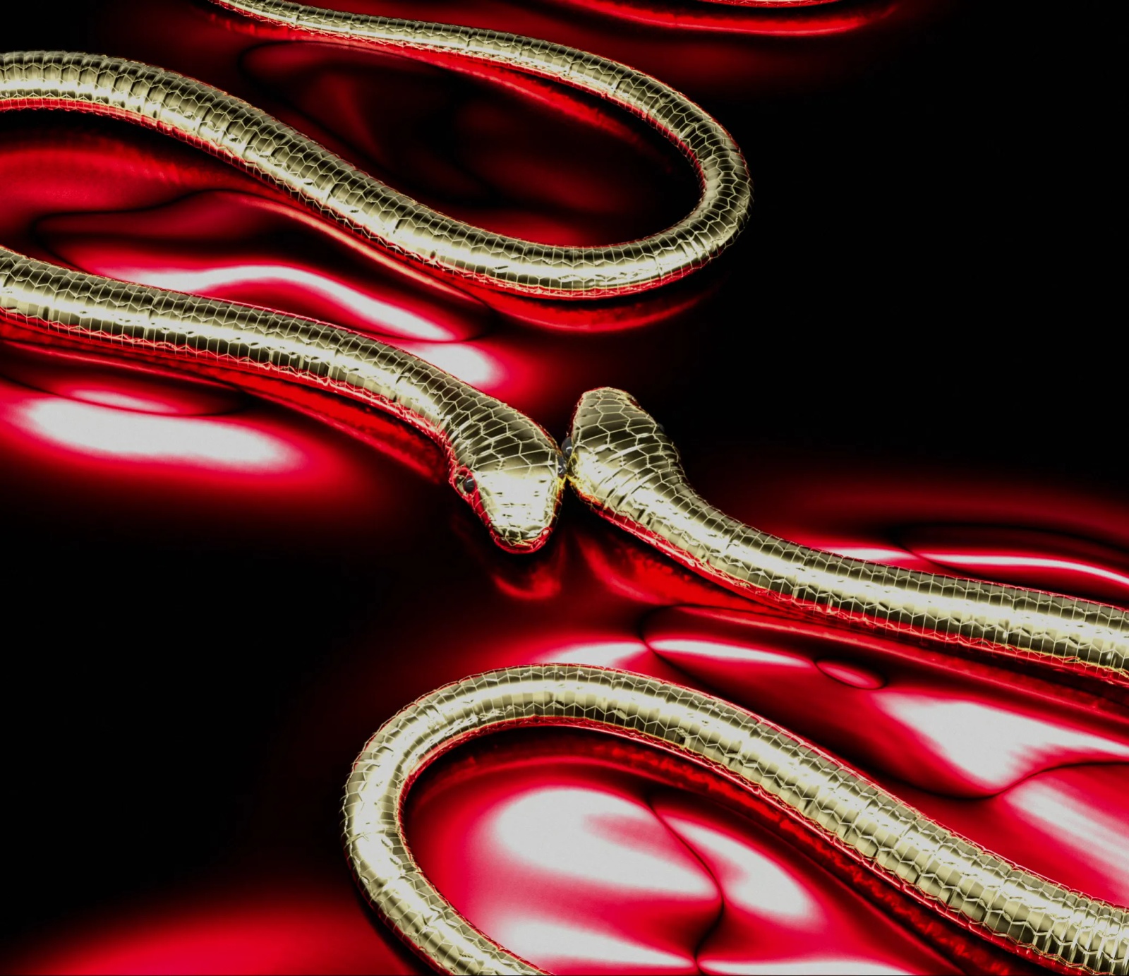 Year of the Snake project thumbnail