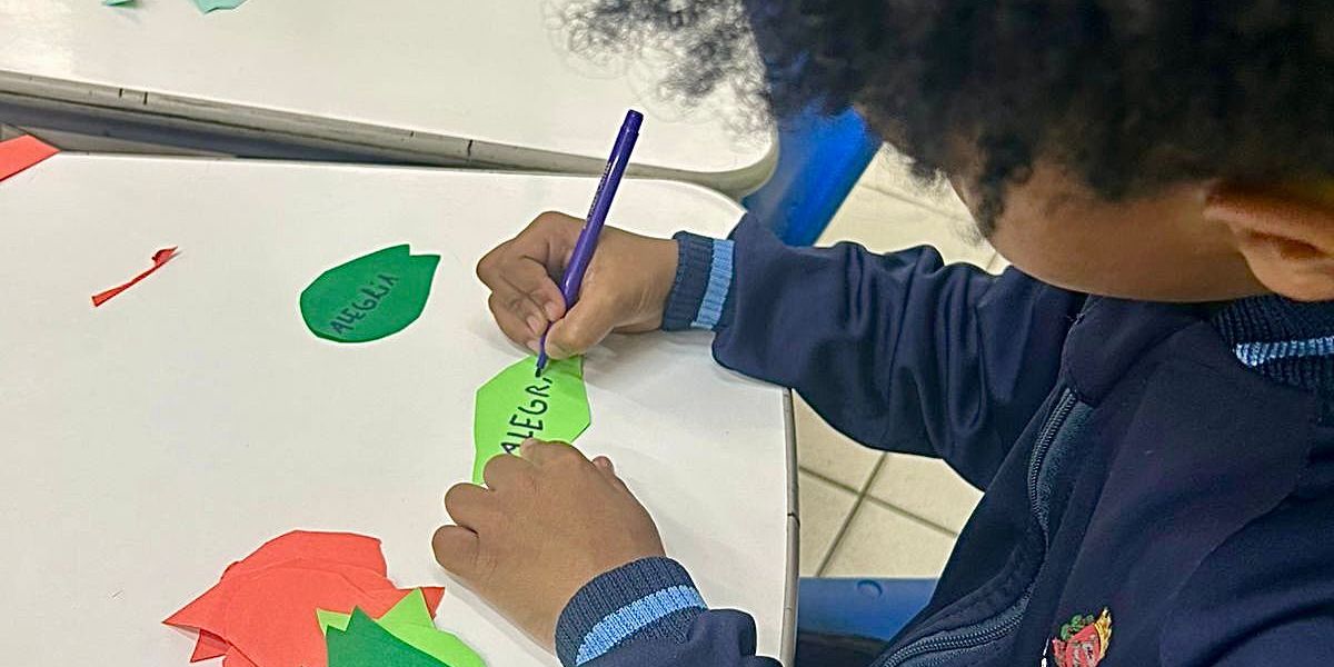 Imaagem de destaque da página