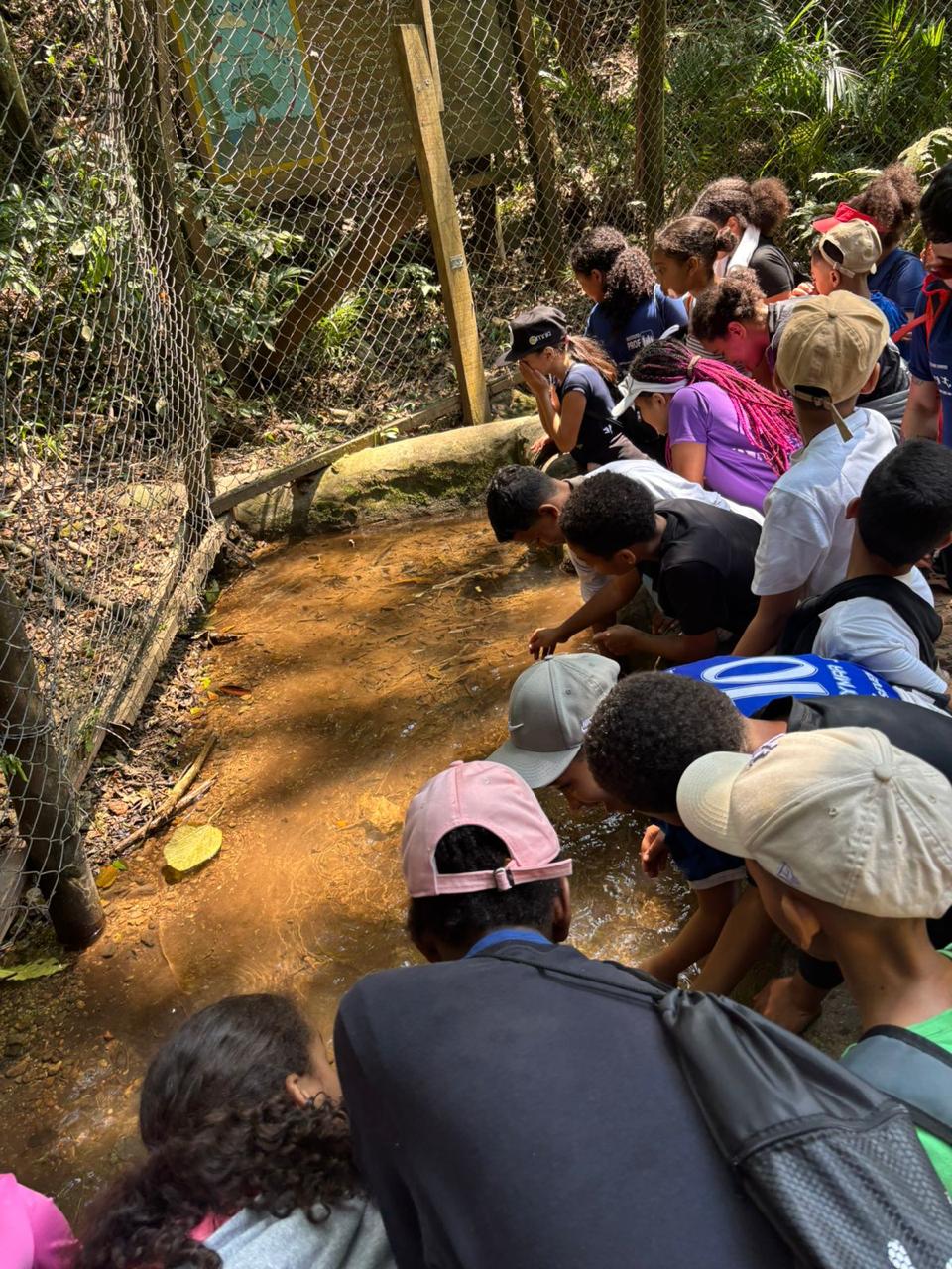 Imaagem de destaque da página