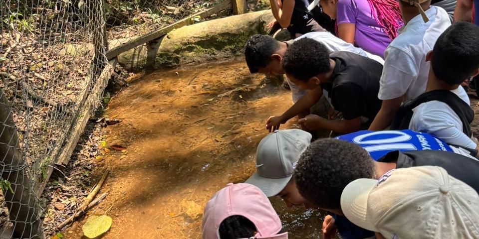 Imaagem de destaque da página