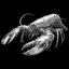 Logo of EZClaws