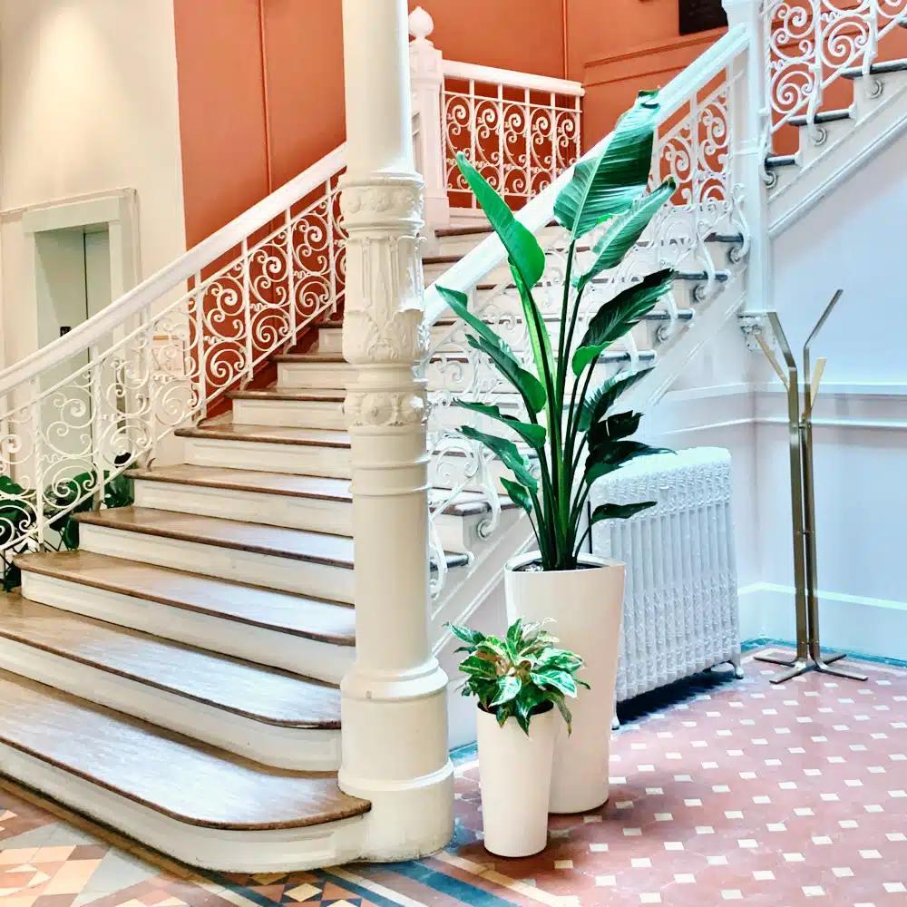 NYC office plants, portfolio photo 3