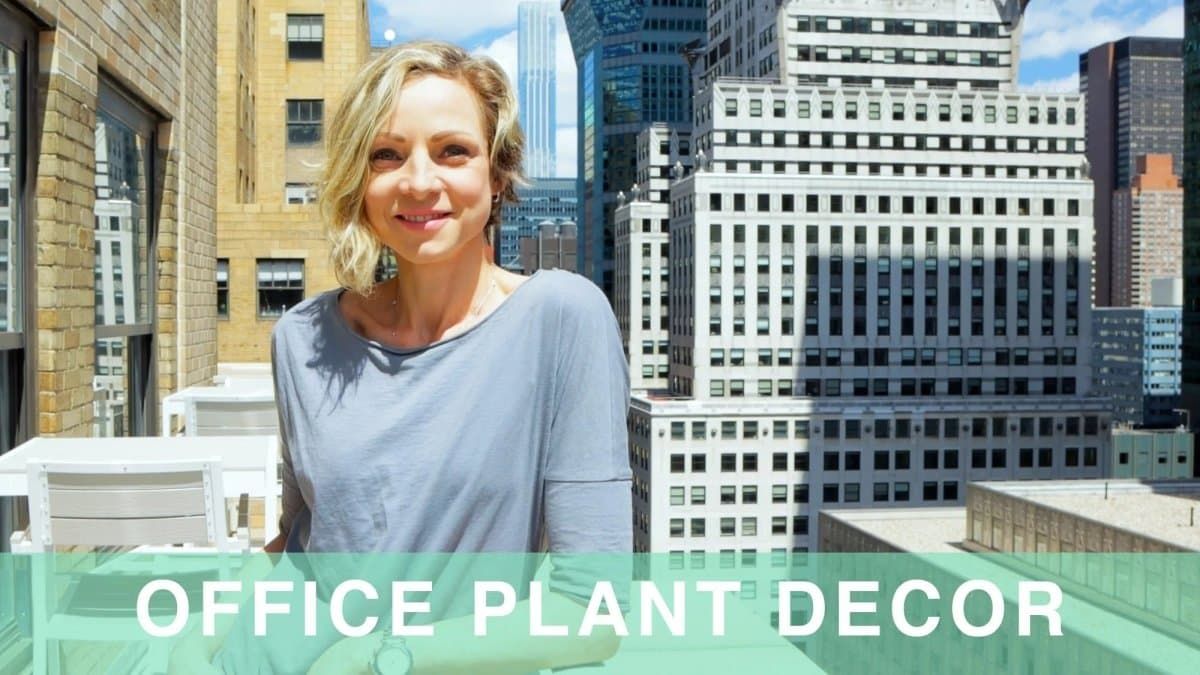 Office Plant Decor With Just 8 Plants