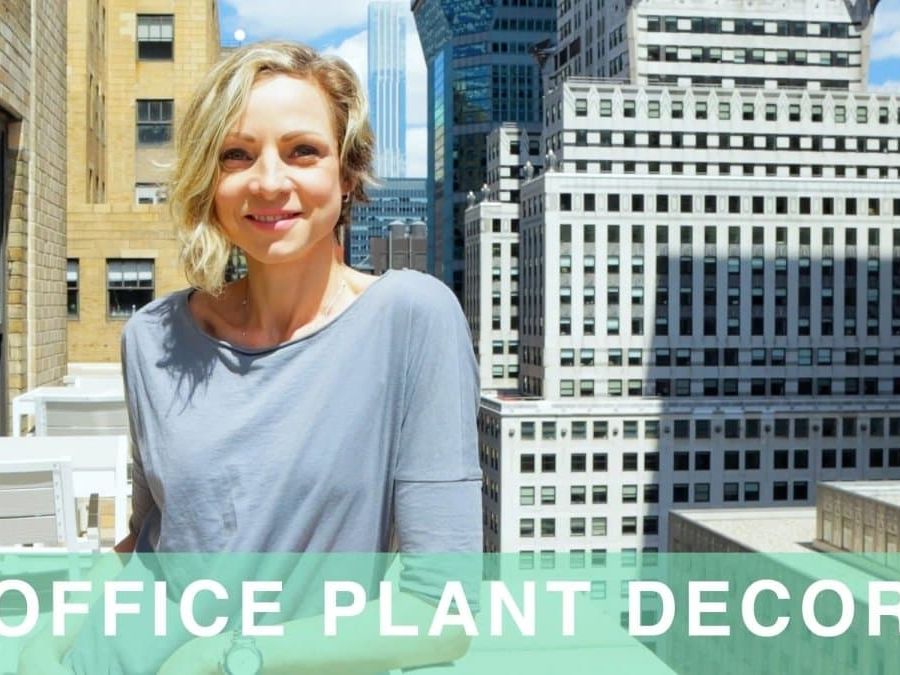Office Plant Decor With Just 8 Plants