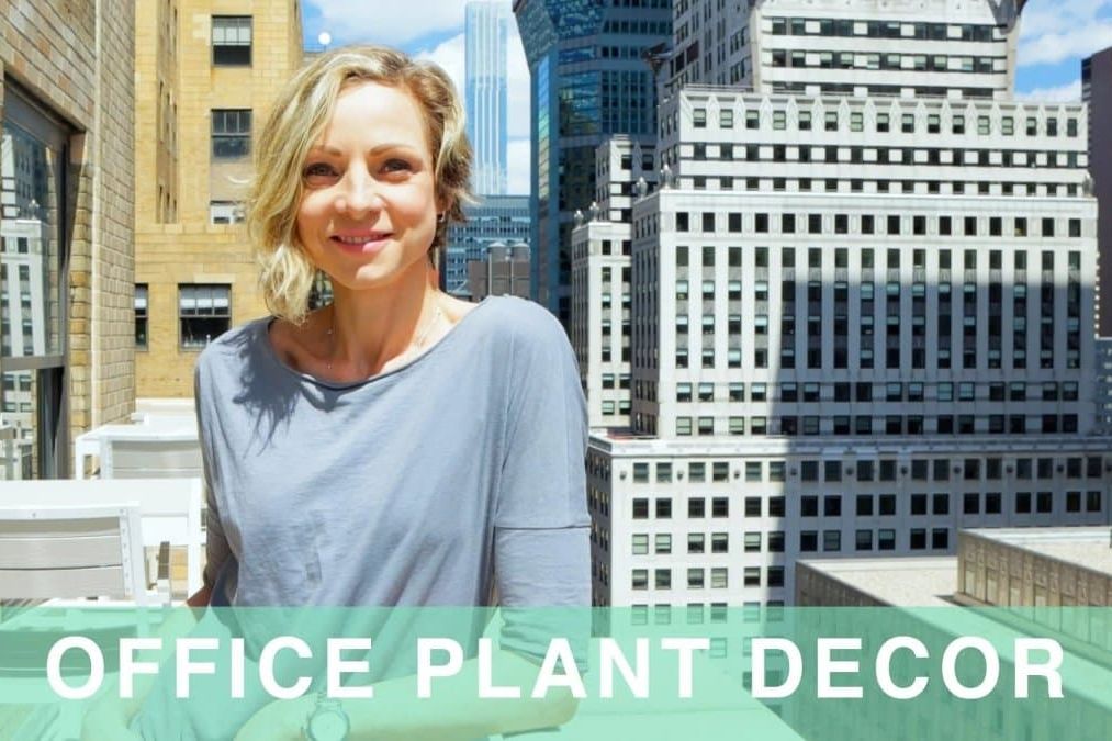 Office Plant Decor With Just 8 Plants
