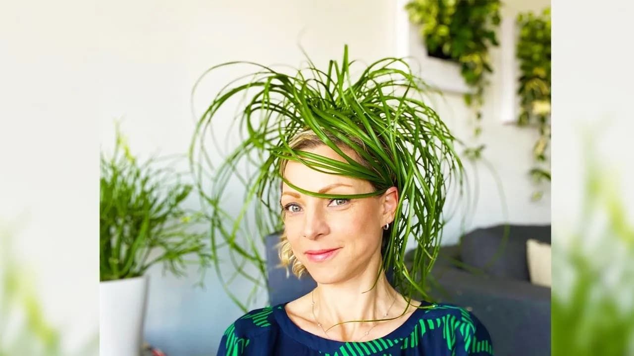 My Ponytail Palm Care Routine – Green Moments With Juliette EP #09
