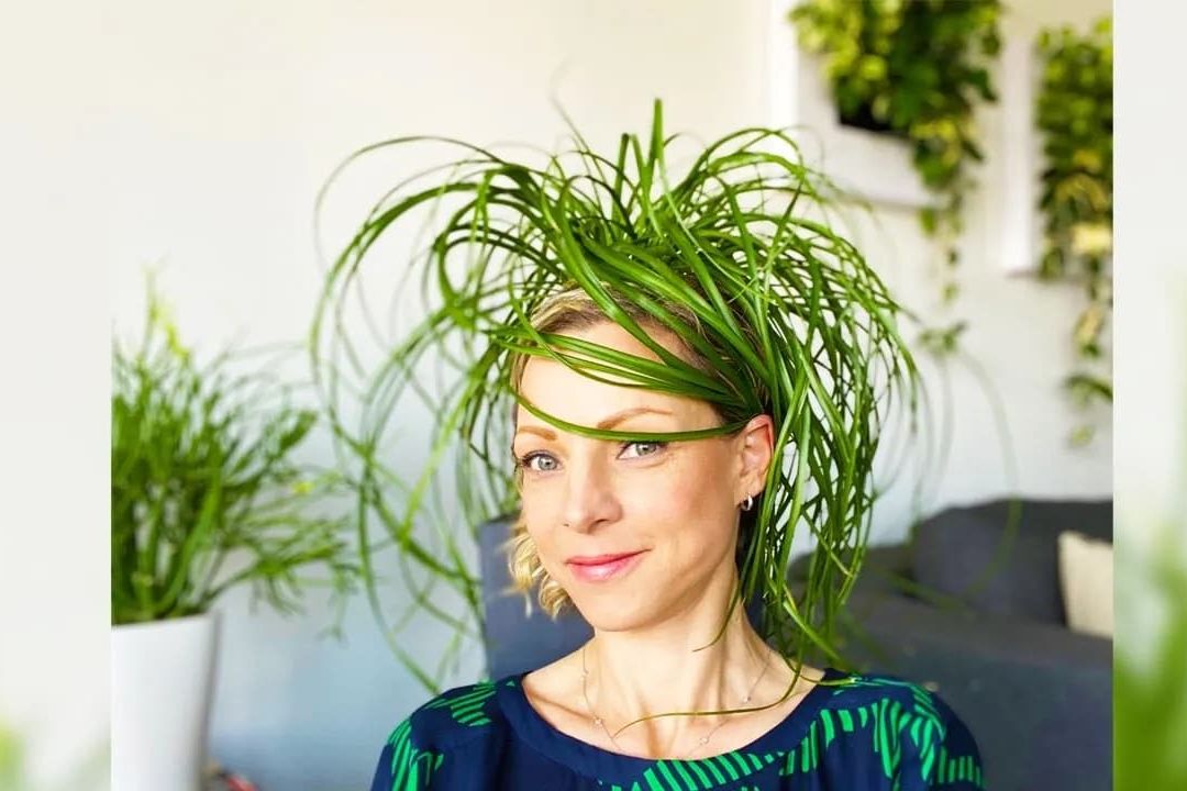 My Ponytail Palm Care Routine – Green Moments With Juliette EP #09