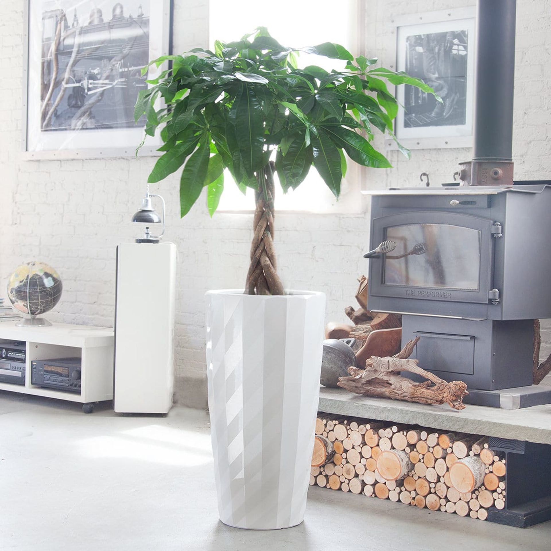 Modern cozy living room with a wood-burning stove, adorned with pet friendly plants like an indoor potted Money tree, and minimalist furniture against a white brick wall.