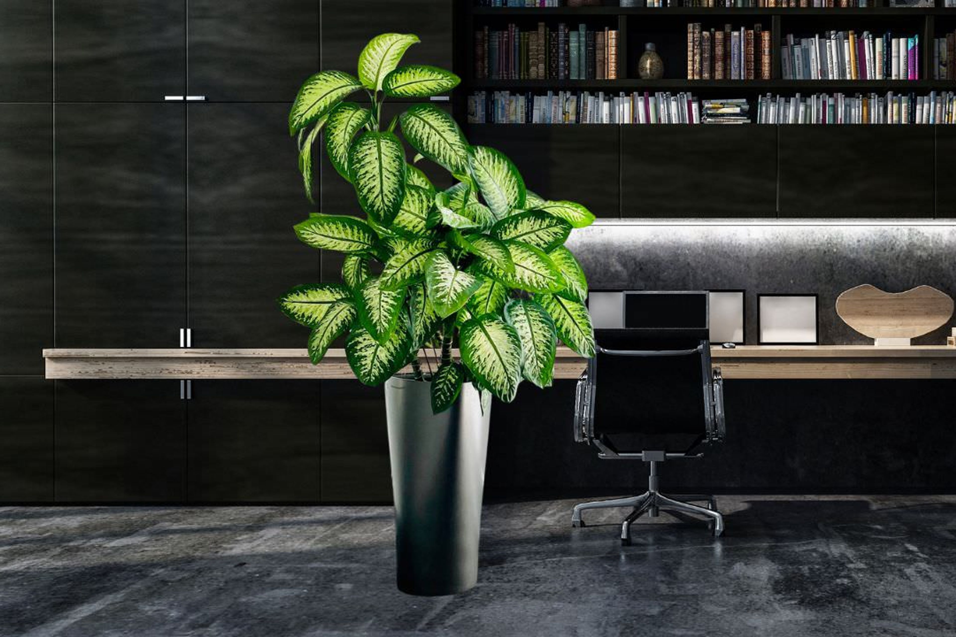 Modern home office with sleek black cabinetry, a wooden desk, designer swivel chair, and a vibrant potted plant enhancing the elegant interior design aesthetic.