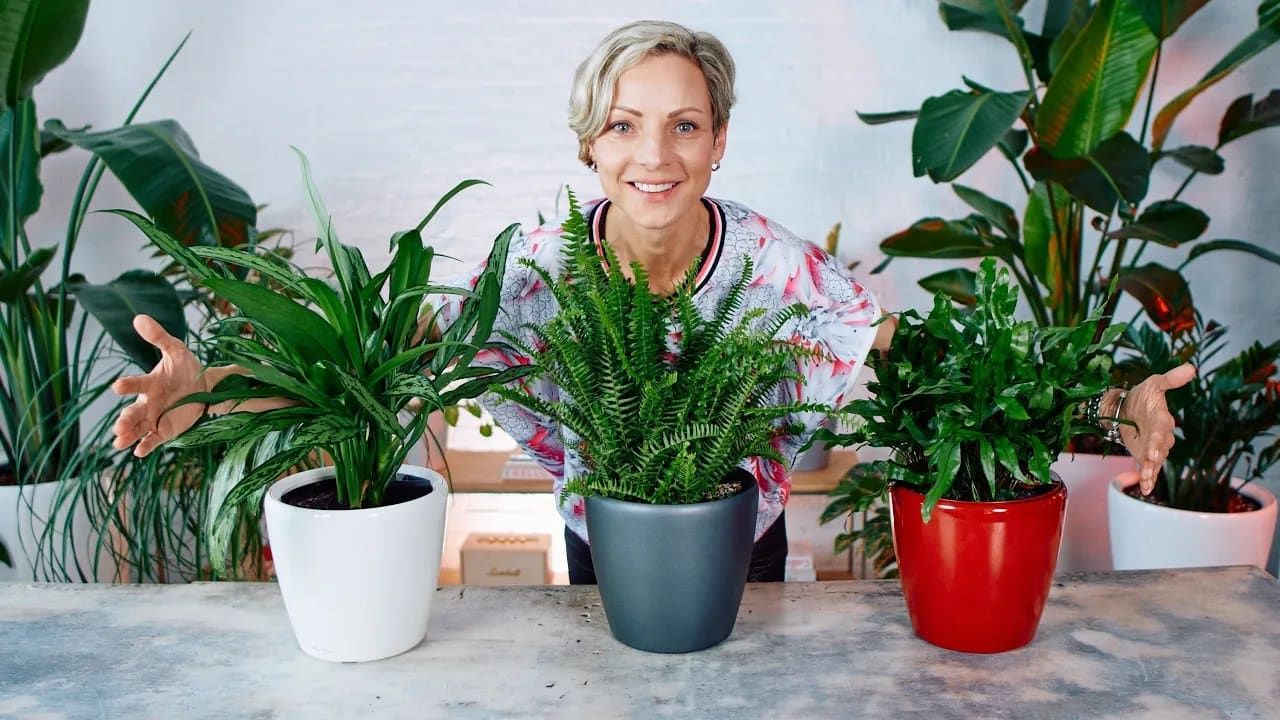 Lechuza Classico LS 21 Planter – What’s Inside And How It Works