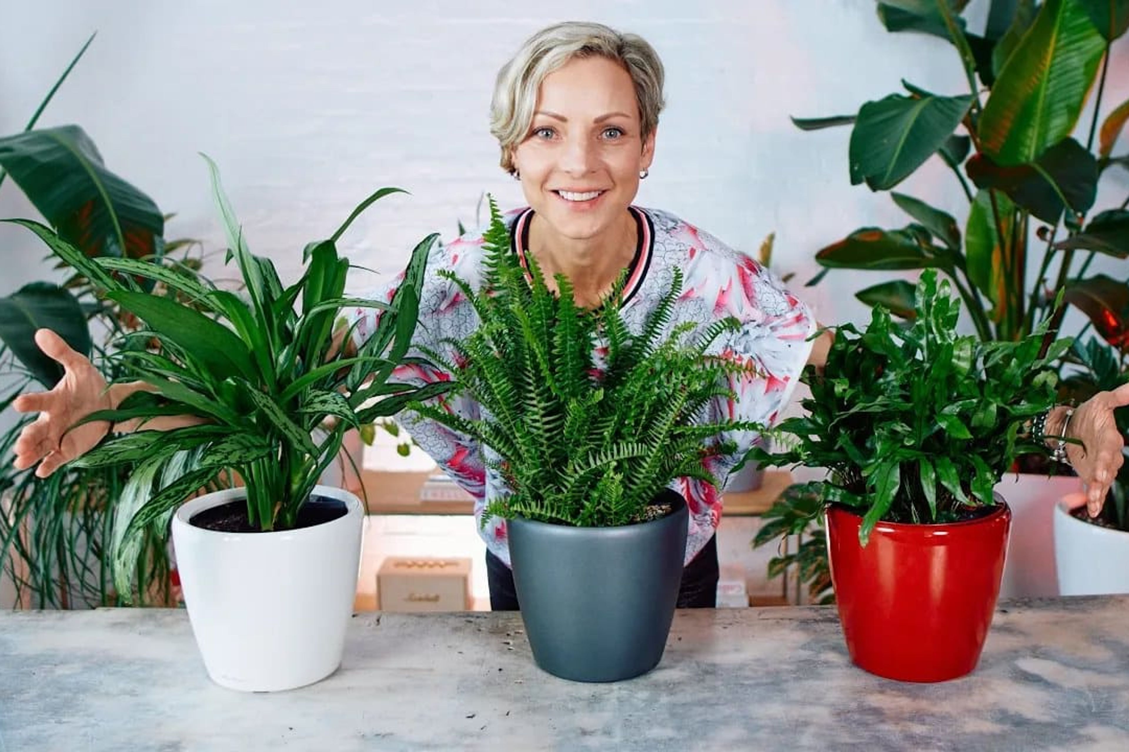 Lechuza Classico LS 21 Planter – What’s Inside And How It Works
