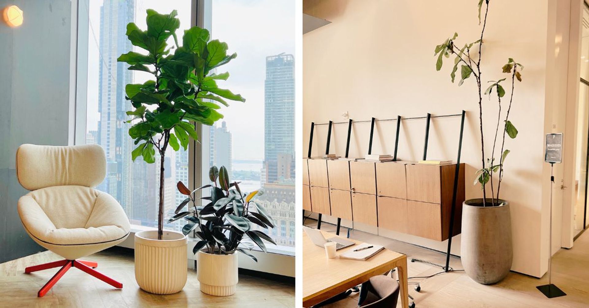Modern office interior with city view featuring a cozy swivel chair and indoor plants in a well-lit workspace, paired with a minimalist wooden cabinet and elegant office decor.