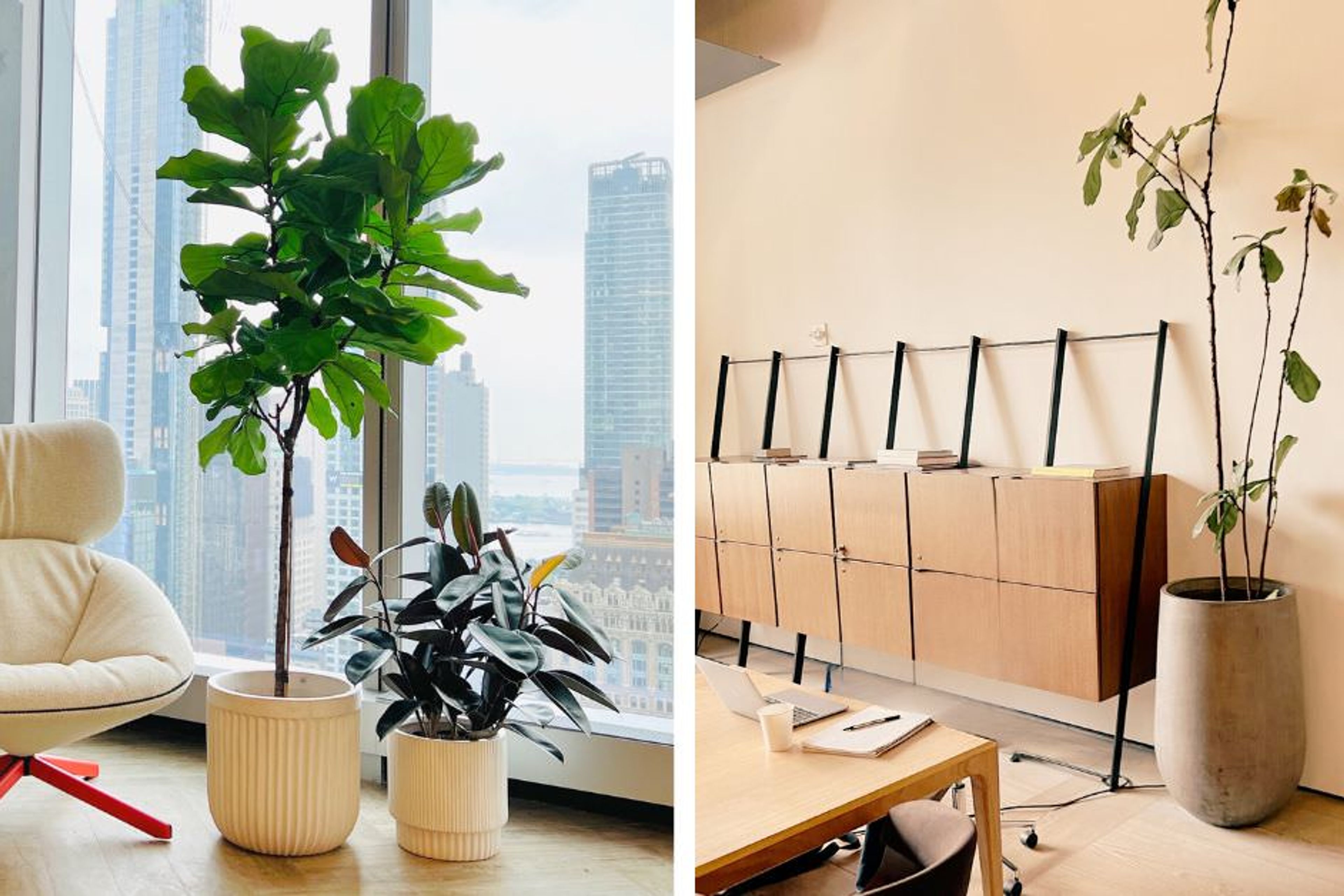 Modern office interior with city view featuring a cozy swivel chair and indoor plants in a well-lit workspace, paired with a minimalist wooden cabinet and elegant office decor.