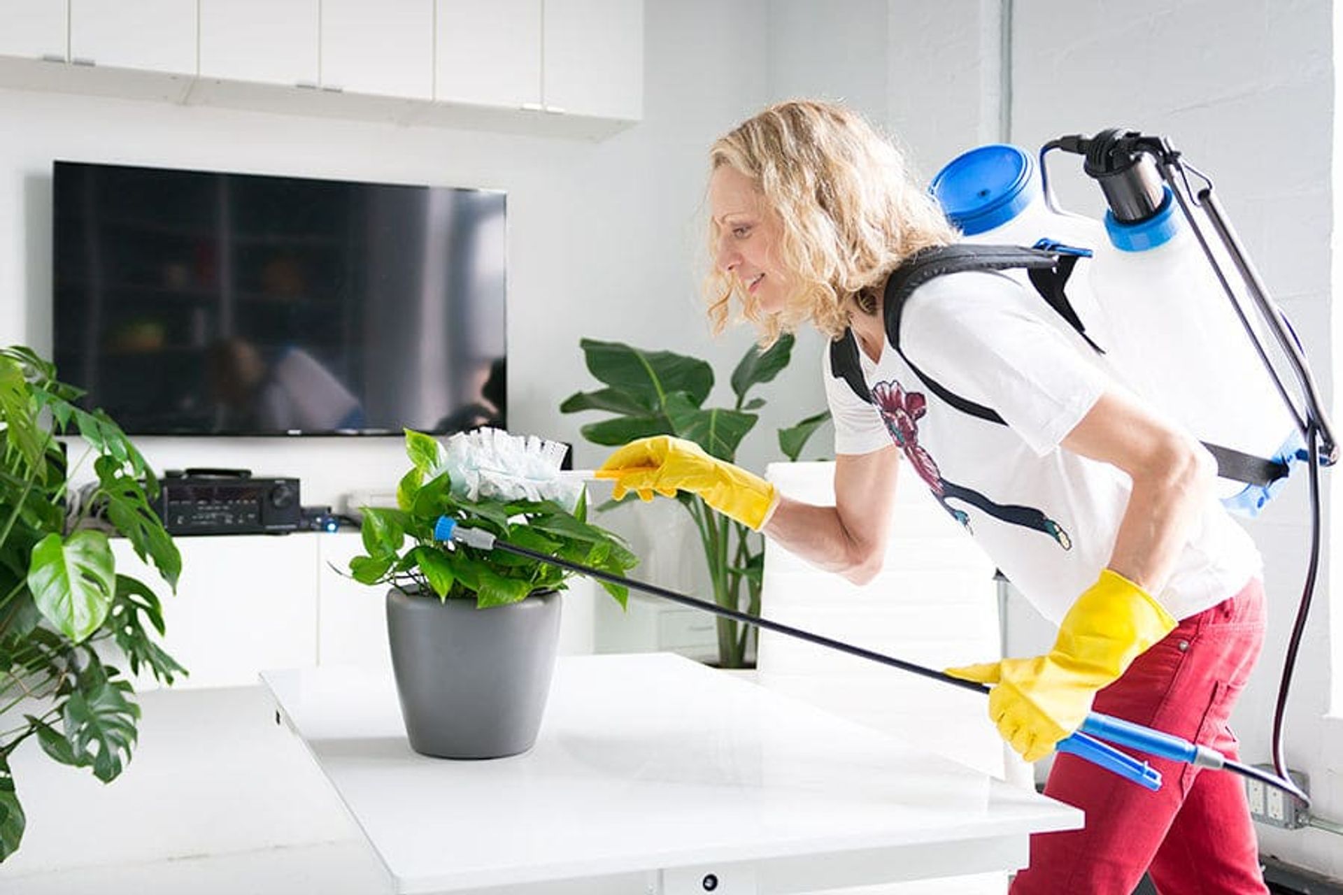 Keep Your Plants Clean