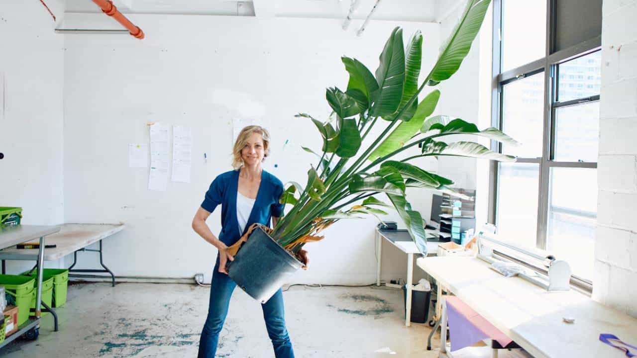 Juliette holding a large bird of paradise plant in a nursery pot in a bright, creative workspace with tables and windows.