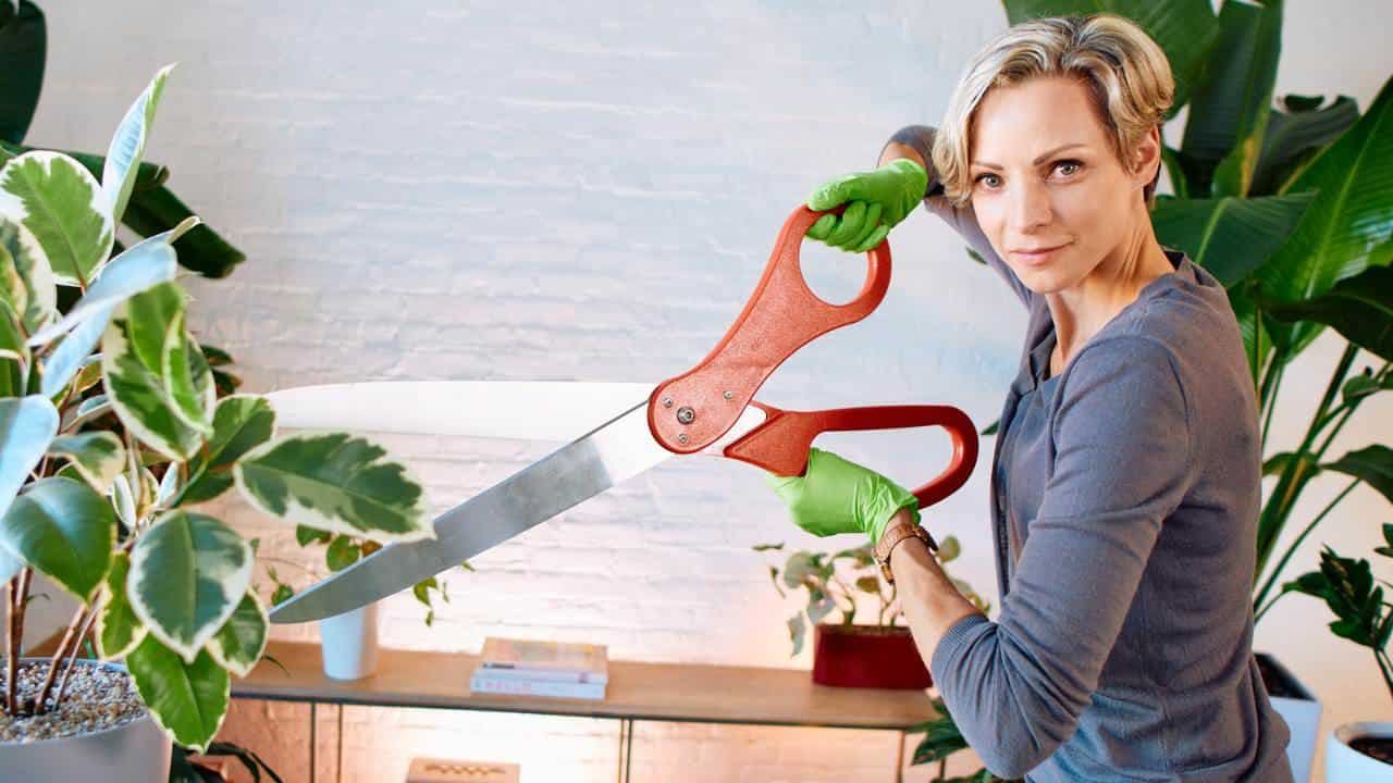 How To Trim Plants Like A Pro