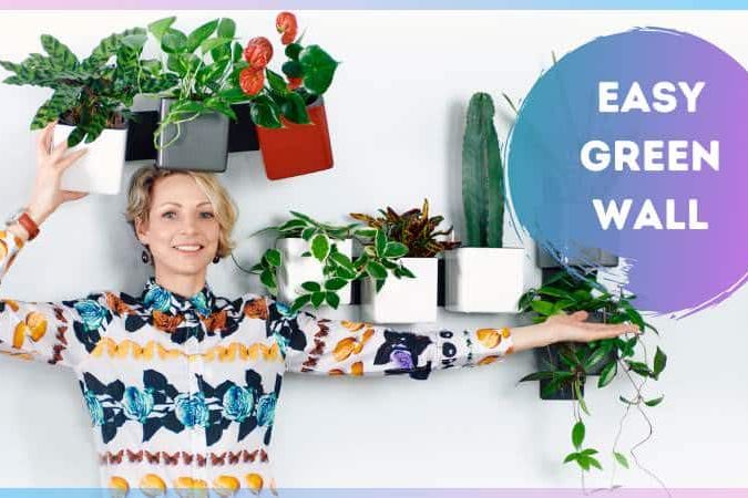 Lechuza green wall