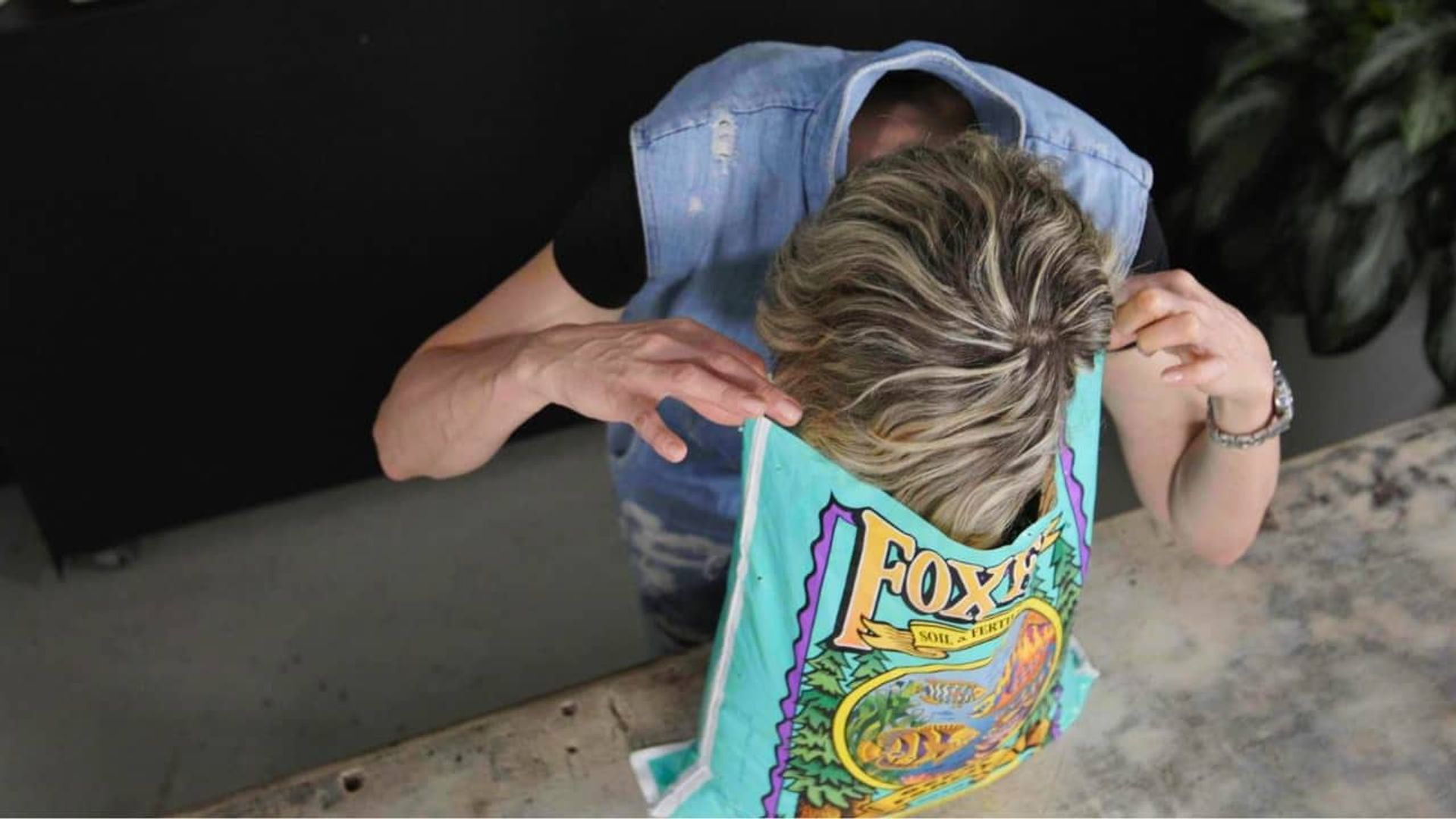 The image shows a person leaning down with their head inside a colorful bag labeled "FoxFarm Ocean Forest" soil. The individual appears to be smelling or inspecting the contents of the soil bag. The setting is a casual workspace or indoor environment with plants visible in the background. This image likely highlights someone conducting a review or assessment of the FoxFarm Ocean Forest soil, focusing on its qualities, such as smell or texture.