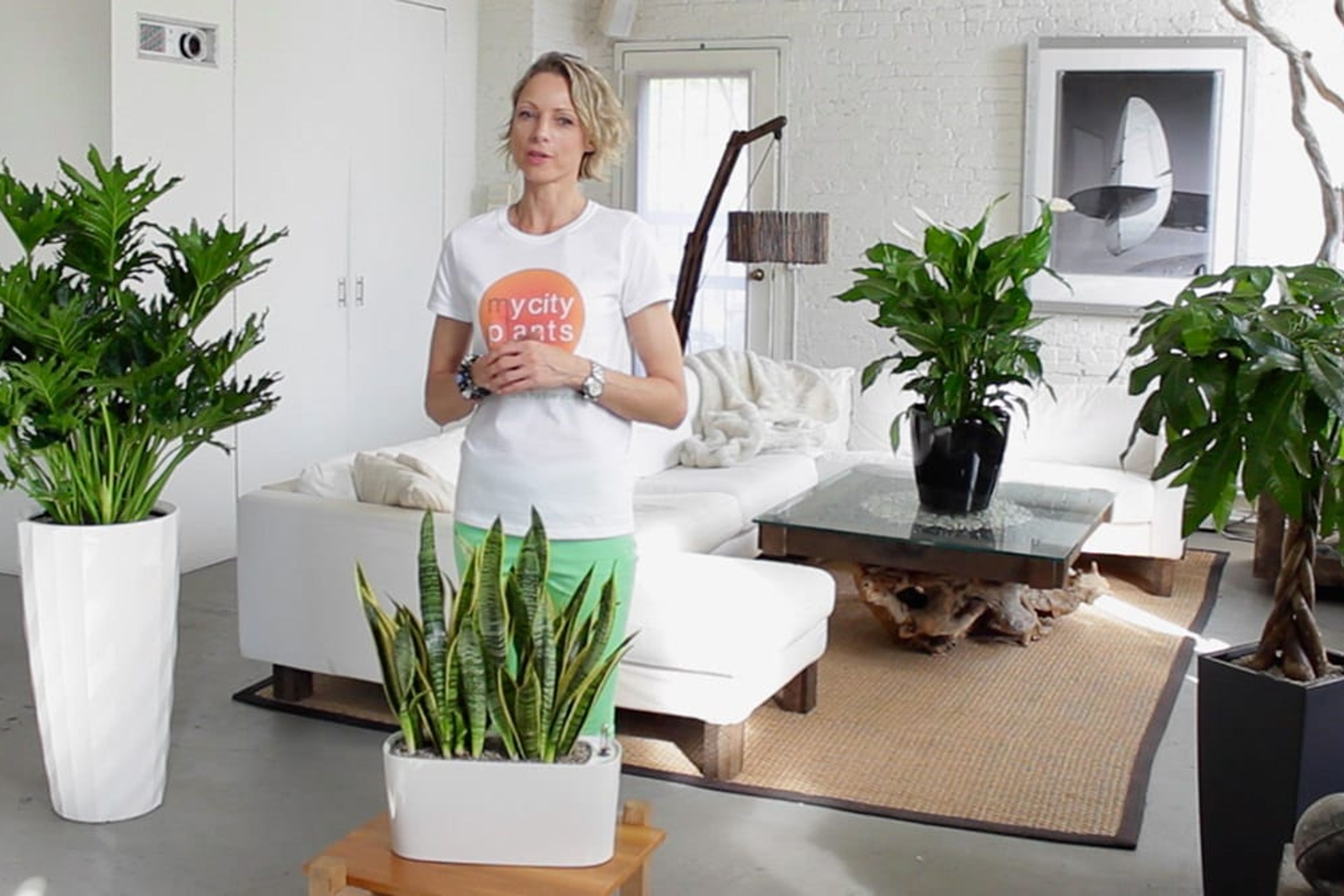 Benefits of Self-watering Planters