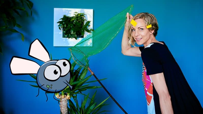 How To Get Rid Of Gnats In Plants: Ultimate Guide