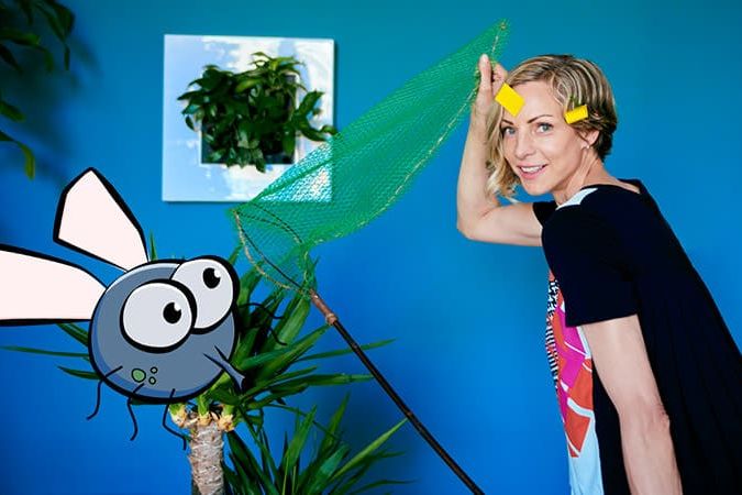 How To Get Rid Of Gnats In Plants: Ultimate Guide