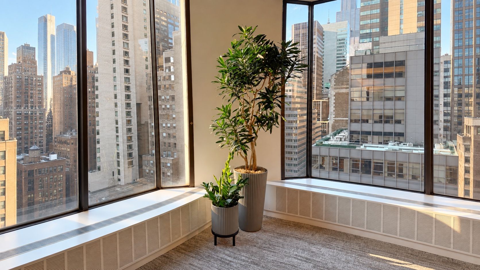 Corner of a Manhattan office with a dracaena and ZZ plant in fluted planters and the Midtown skyline through the windows