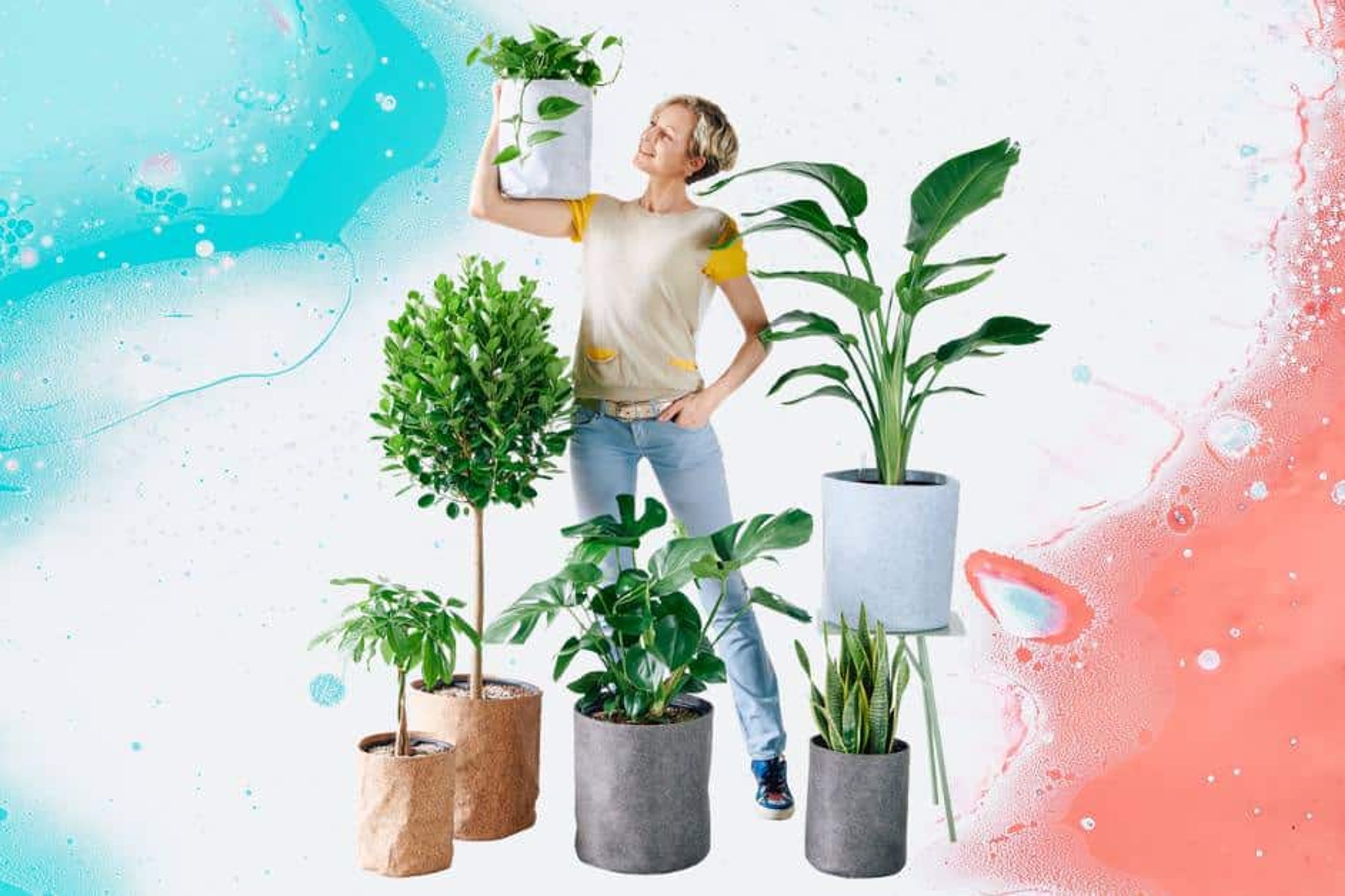New Lechuza Trendcover Self-watering Planters