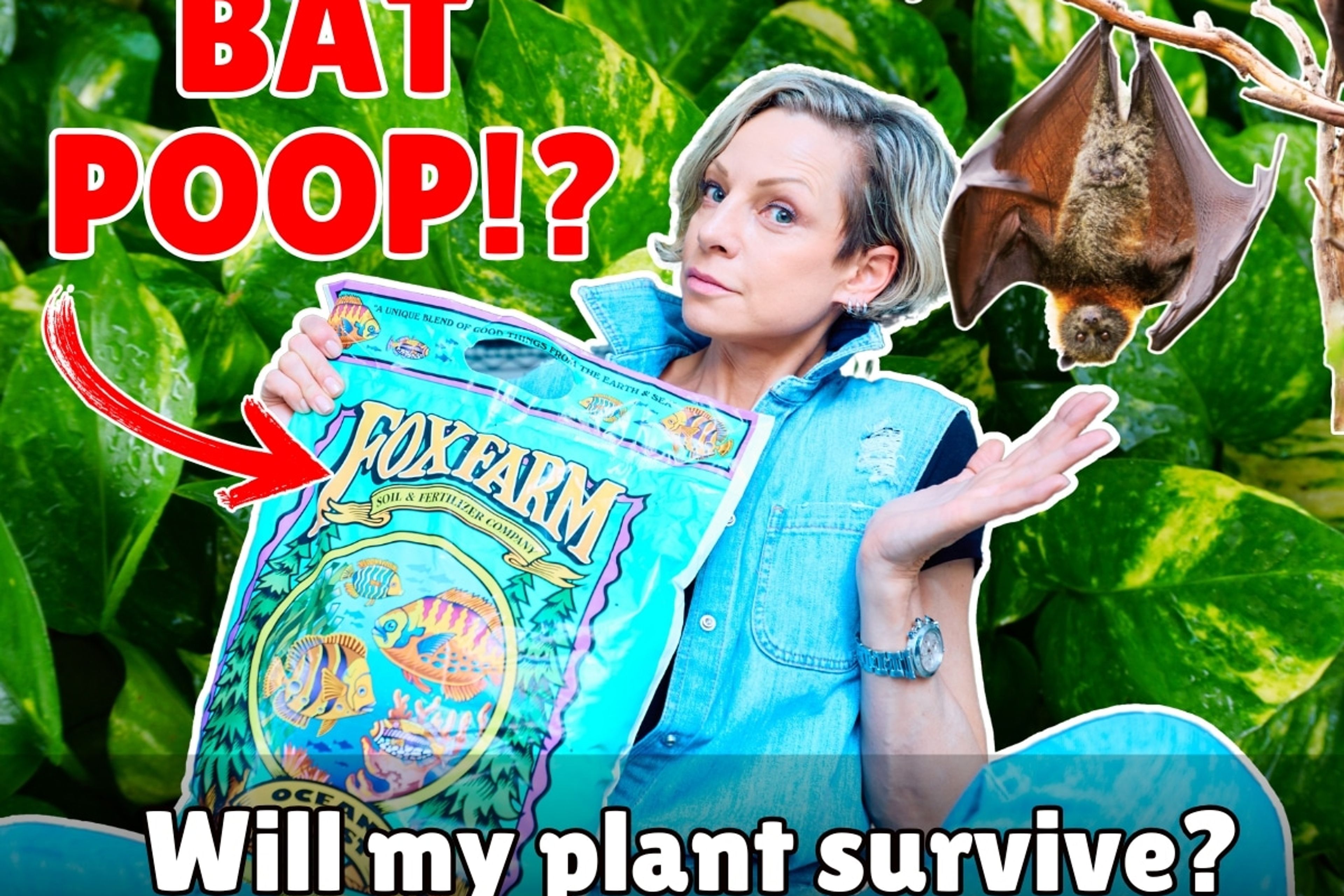 A person holding a FoxFarm Ocean Forest soil bag with bold text 'BAT POOP!?' and a bat image, questioning 'Will my plant survive?' against a backdrop of green leaves, part of a FoxFarm Ocean Forest soil review.