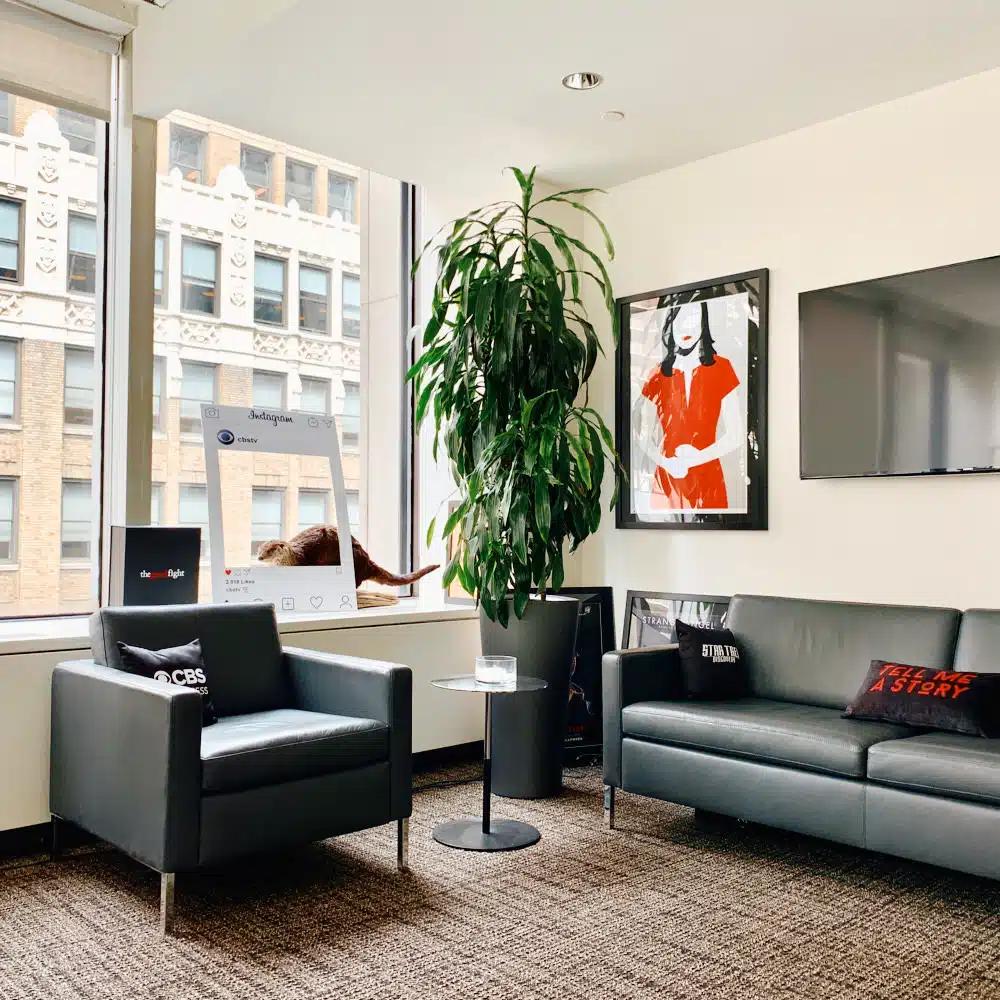 NYC office plants, portfolio photo 2