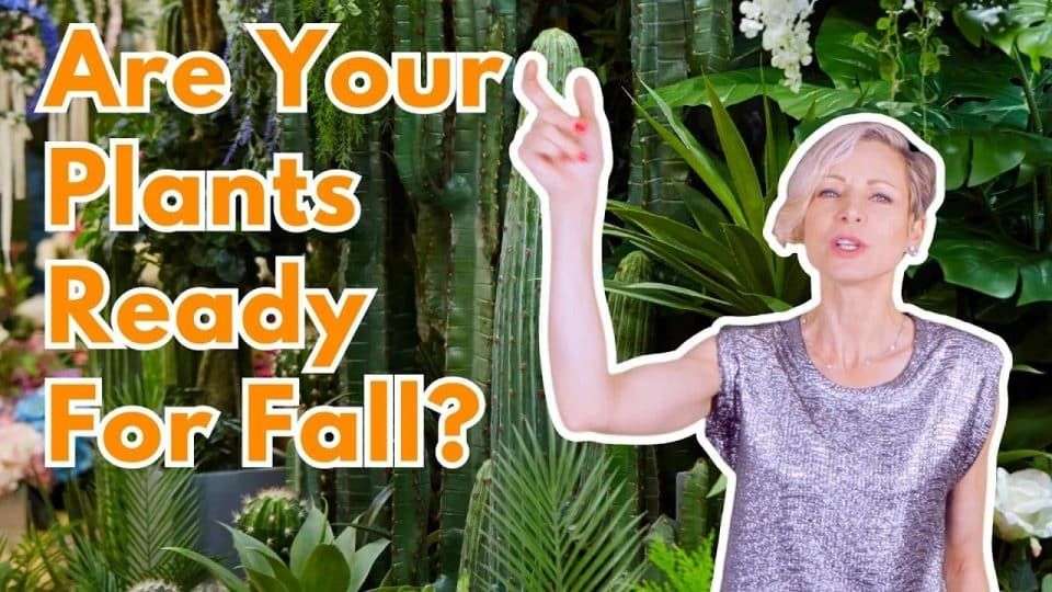 Fall plant care tips
