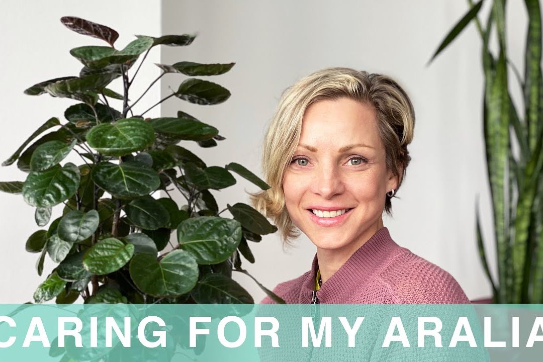 Juliette smiling next to a large aralia plant