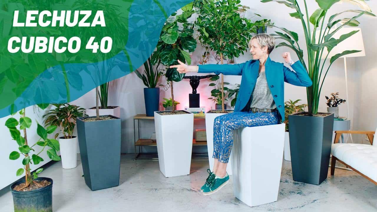Perfect Planter For Large Plants – Lechuza Cubico 40 Self-watering Planter