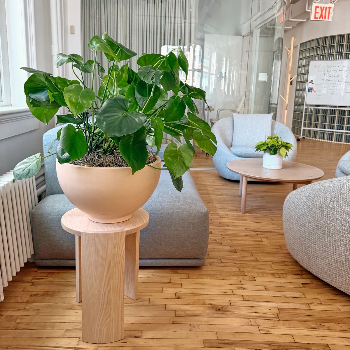 Monstera in a bowl planter on a wooden pedestal in a Manhattan office lounge