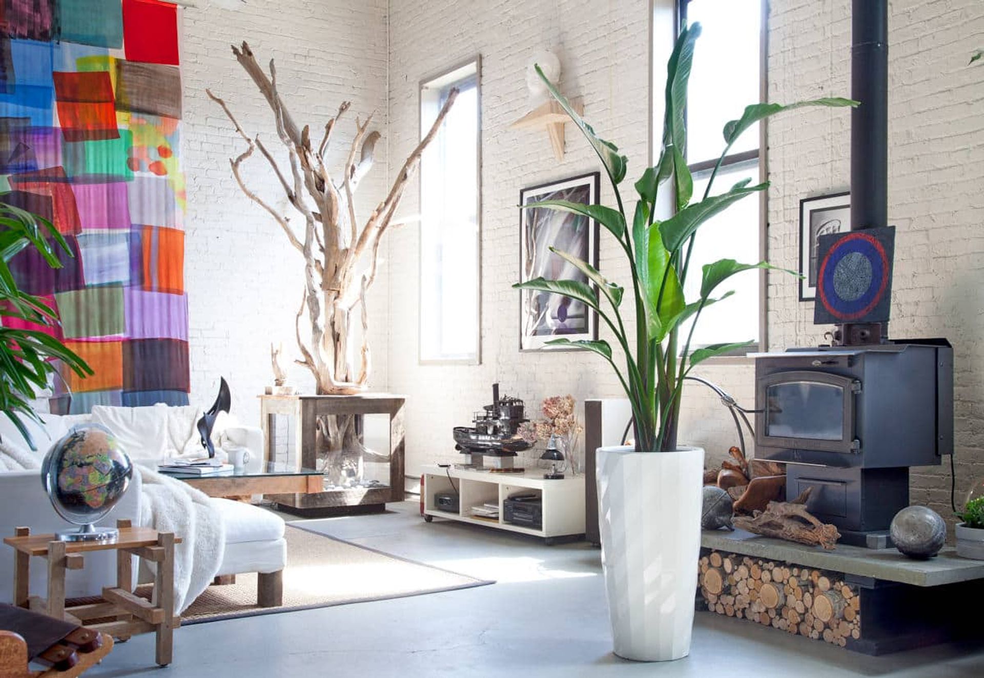 A bright, spacious room with white brick walls featuring a large bird of paradise plant in a white planter, adding a touch of vibrant greenery to the eclectic decor of the space.