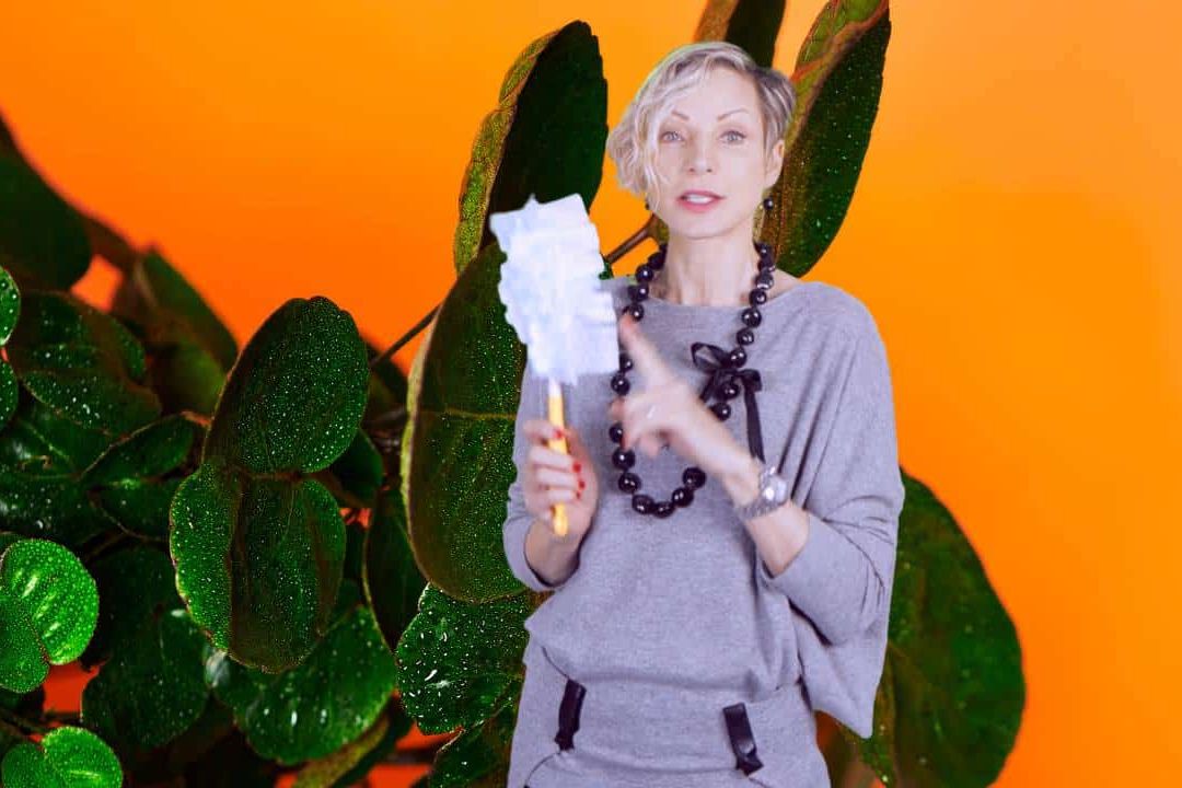 How to quickly clean a plant with many small leaves