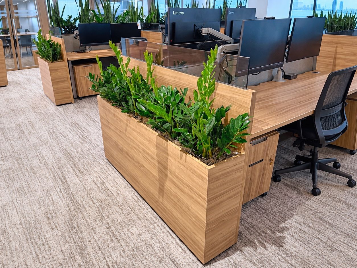 Long oak planter of ZZ plants installed as a divider between desk rows in an open-plan Manhattan office