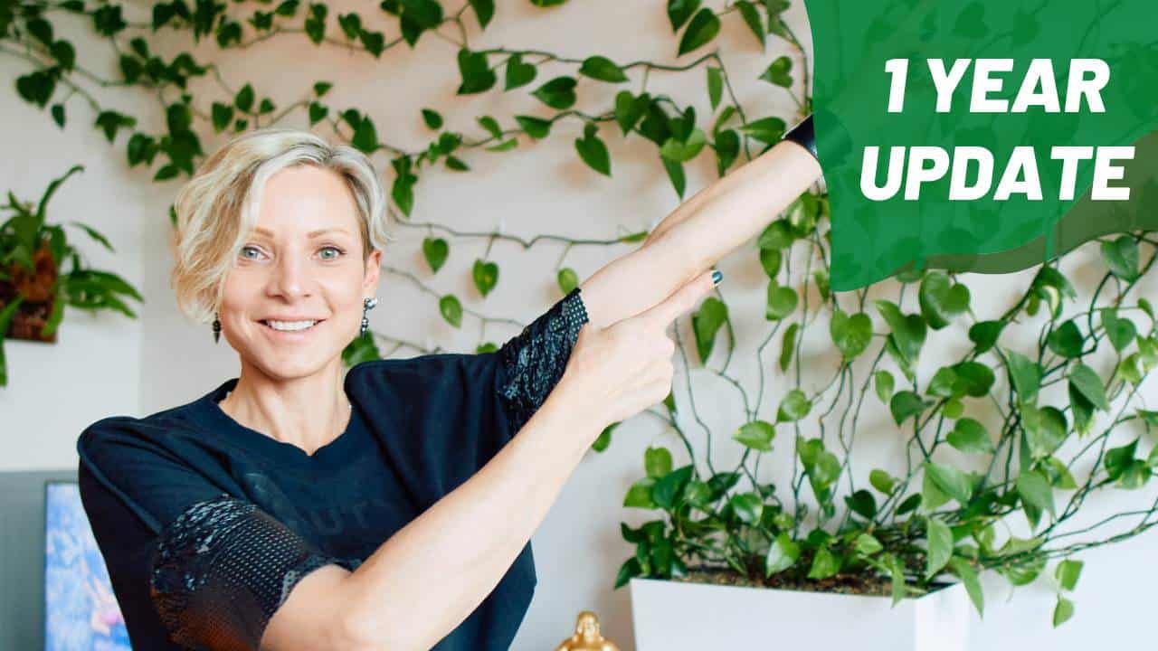 1 Year Update On Green Wall + Repotting Overgrown Pothos