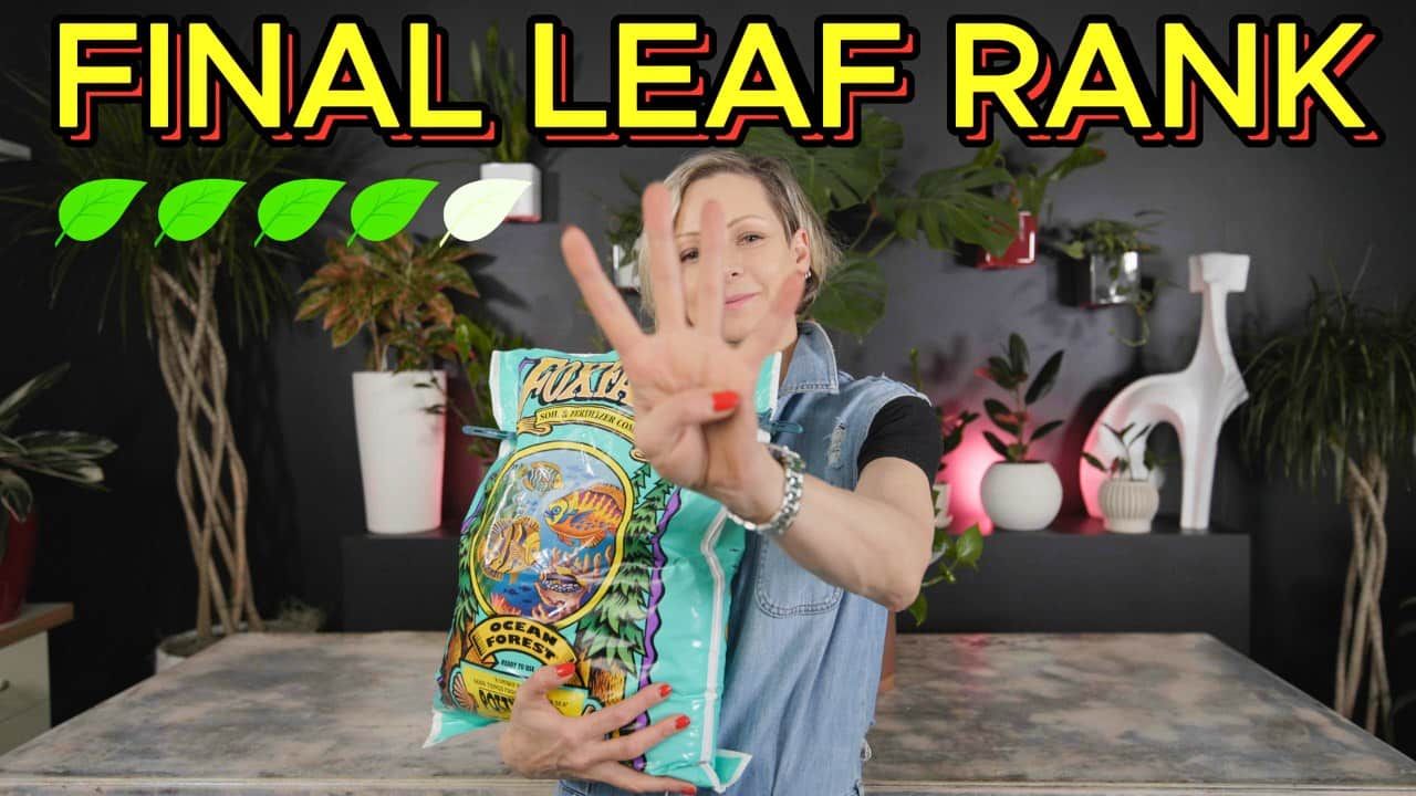 A person holding a FoxFarm Ocean Forest soil bag, showing a four-finger gesture with bold text 'FINAL LEAF RANK' and four out of five leaf icons filled, concluding the FoxFarm Ocean Forest soil review.