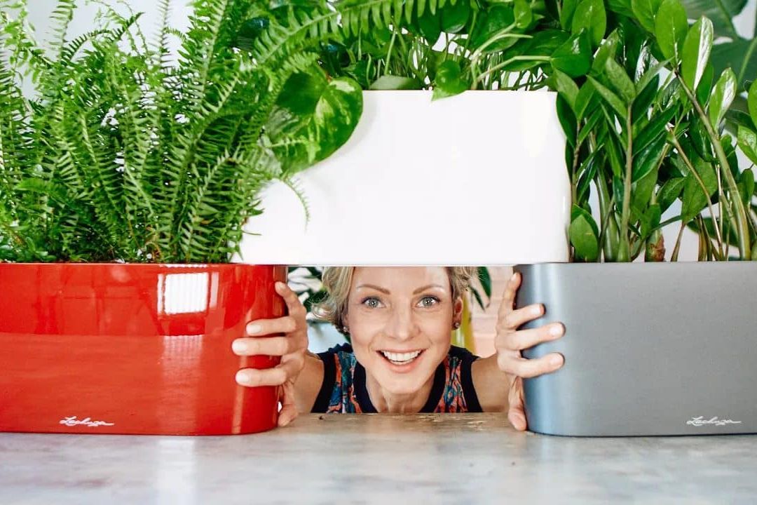 Lechuza Delta 20 Planter – What’s Inside And How It Works