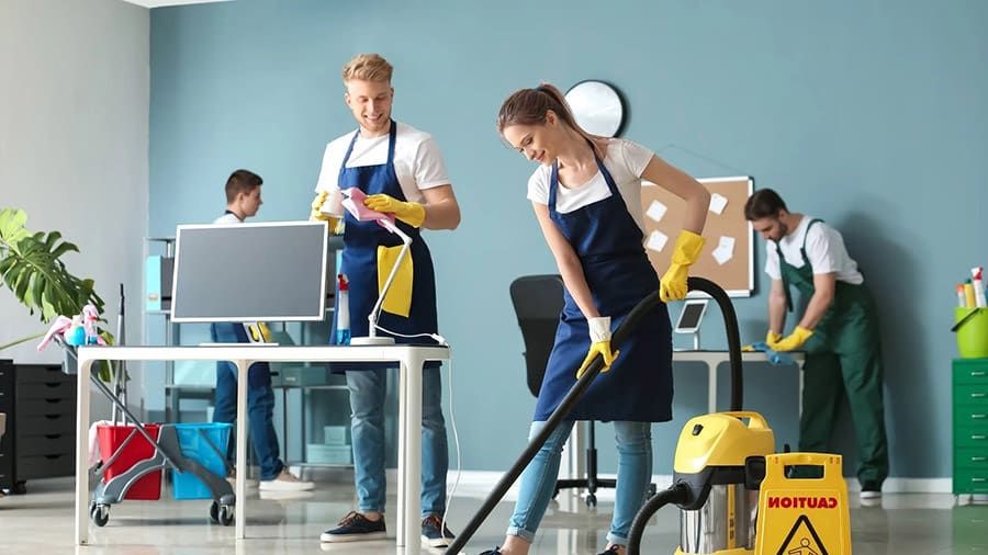 Stop Killing Your Office Plants – 8 Mistakes To Avoid