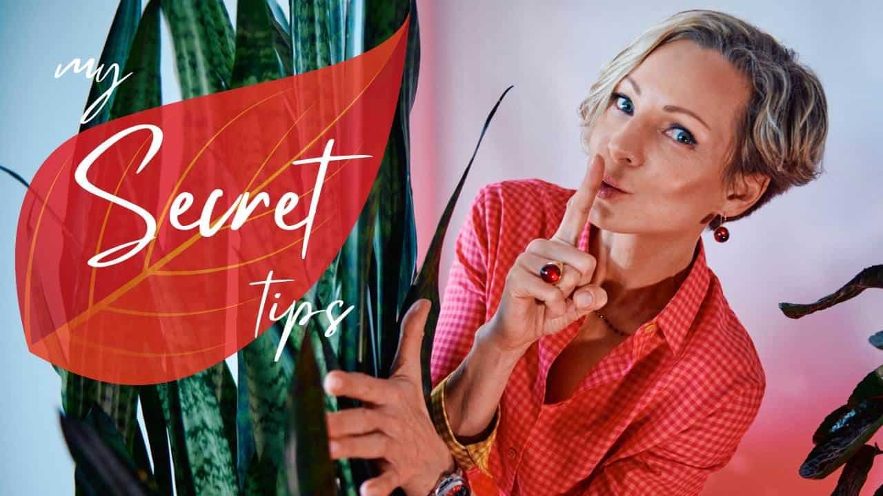 My Secret to Beautiful Plants: 6 Simple Houseplant Care Tips to Keep Your Greenery Looking Amazing