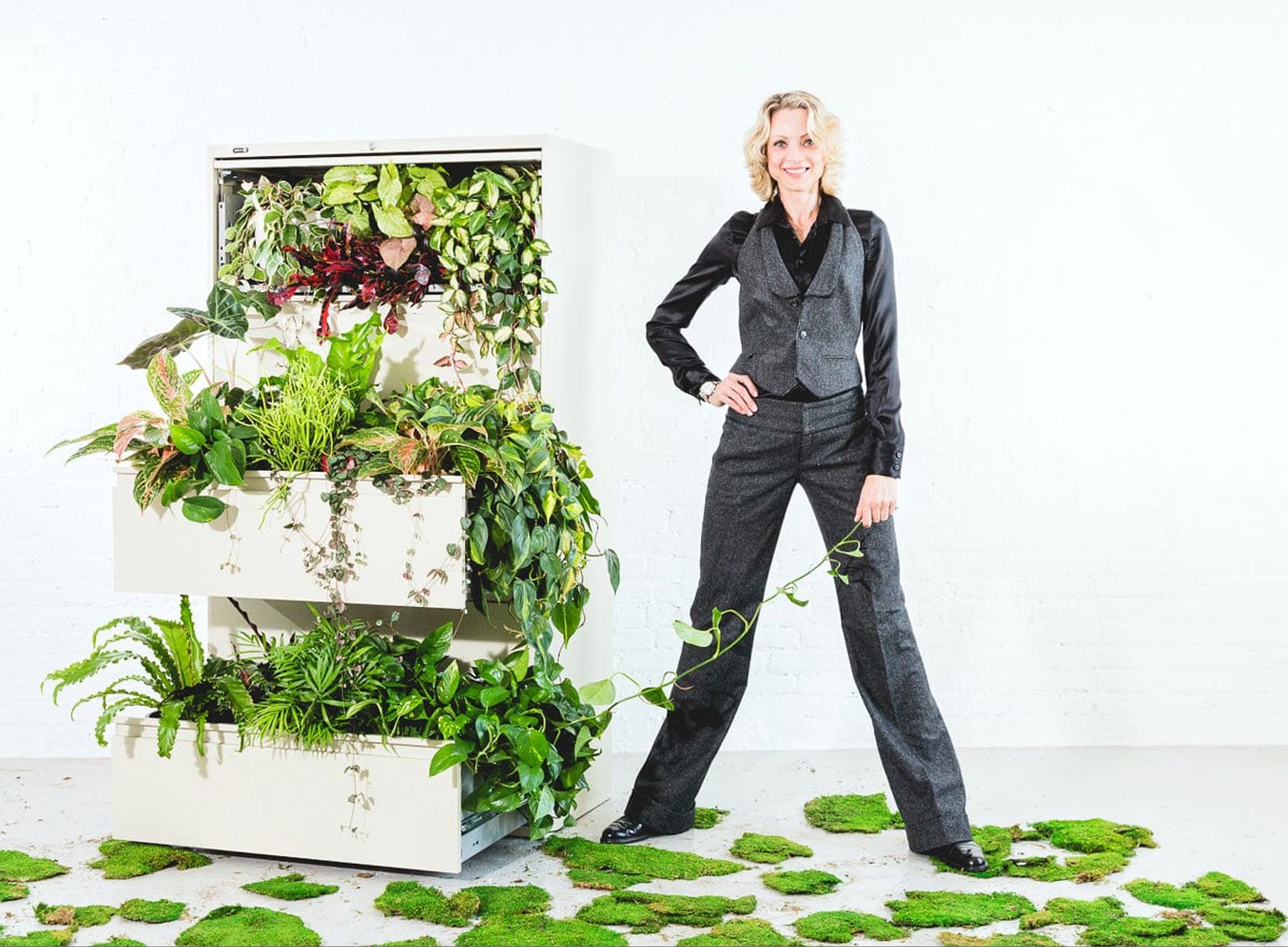 Office Plant Guide - My City Plants