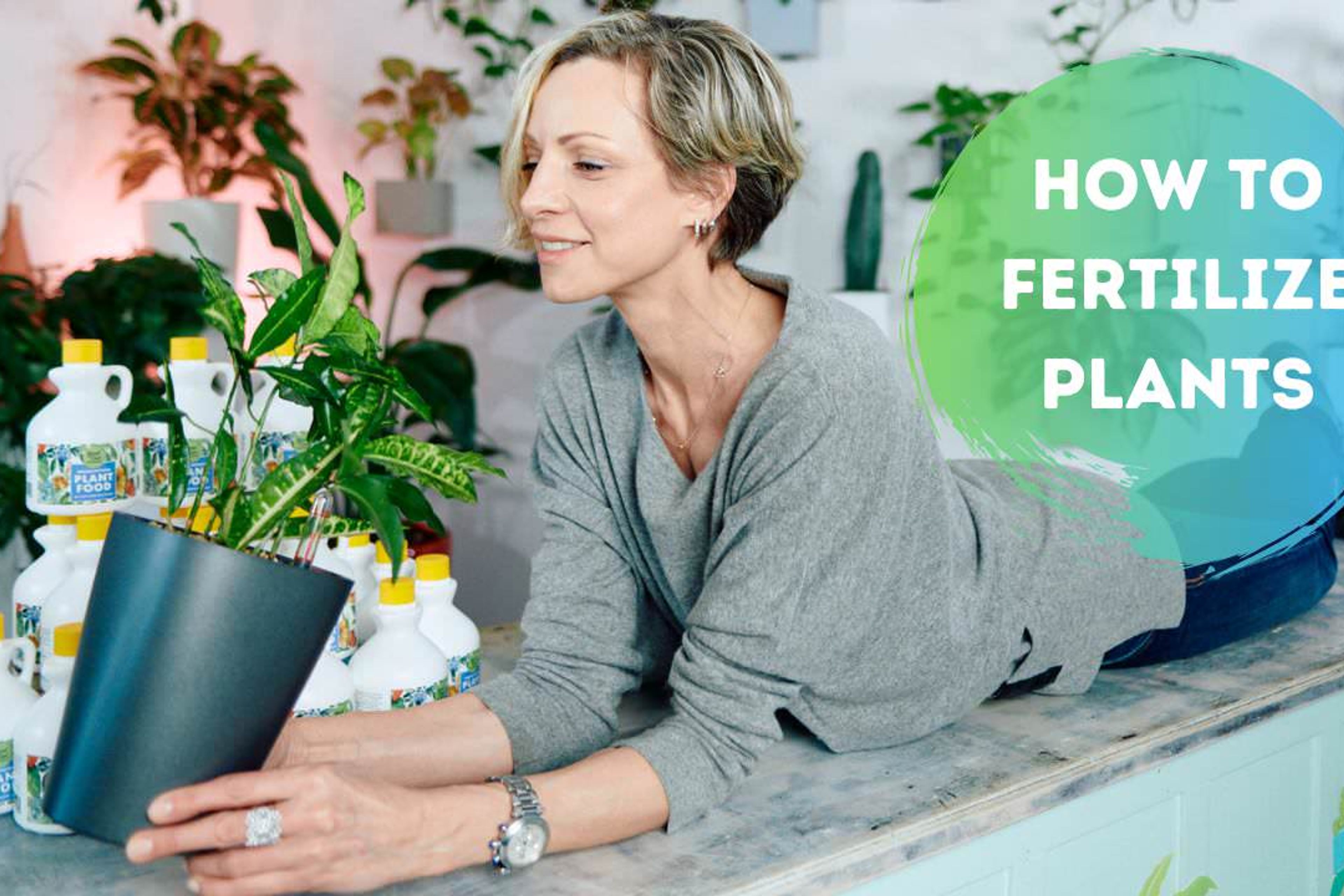 When & How To Fertilize Plants