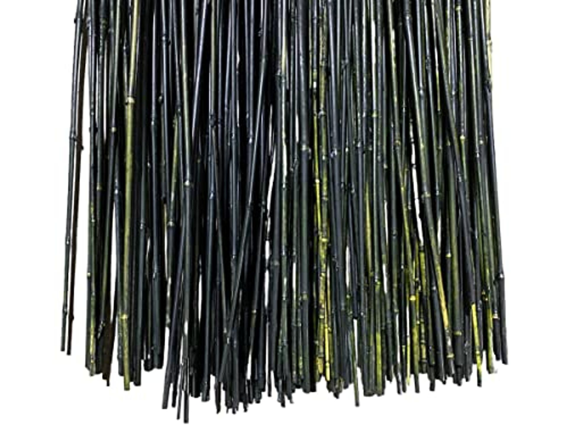 5.5 Feet Natural Thin Bamboo Stakes - Over 5 Feet Tall - Pack of 20 - Multiple Colors Available! (Black)