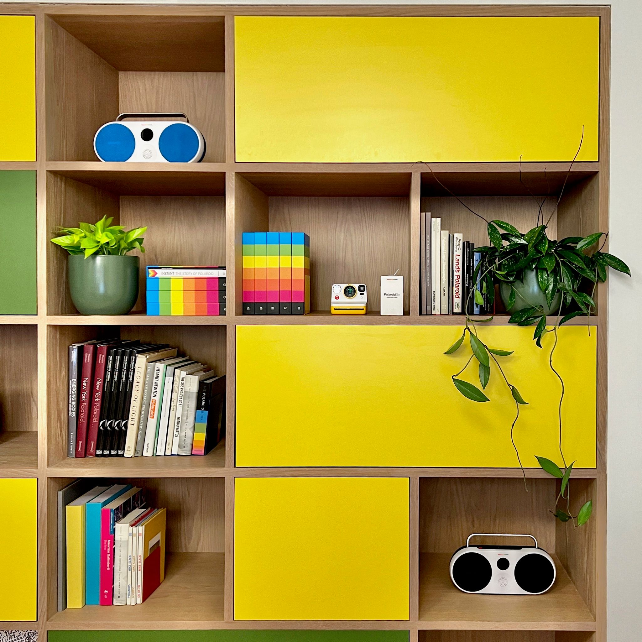 Yellow office bookshelf with small pothos and succulent plants among the books