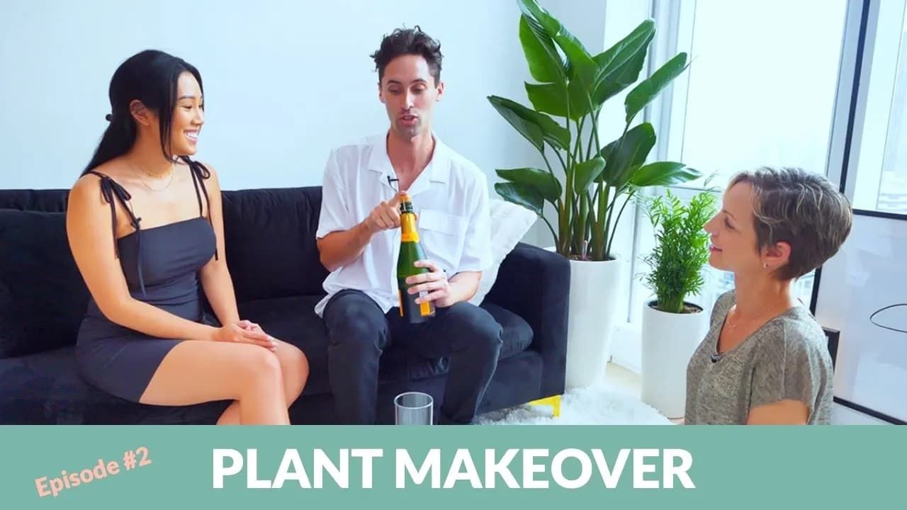 Plant Makeover For Fashion & Lifestyle Influencer Erica Luo – My City Plants