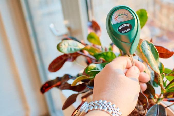 How To Use Soil Moisture Meter To Avoid Over & Under Watering